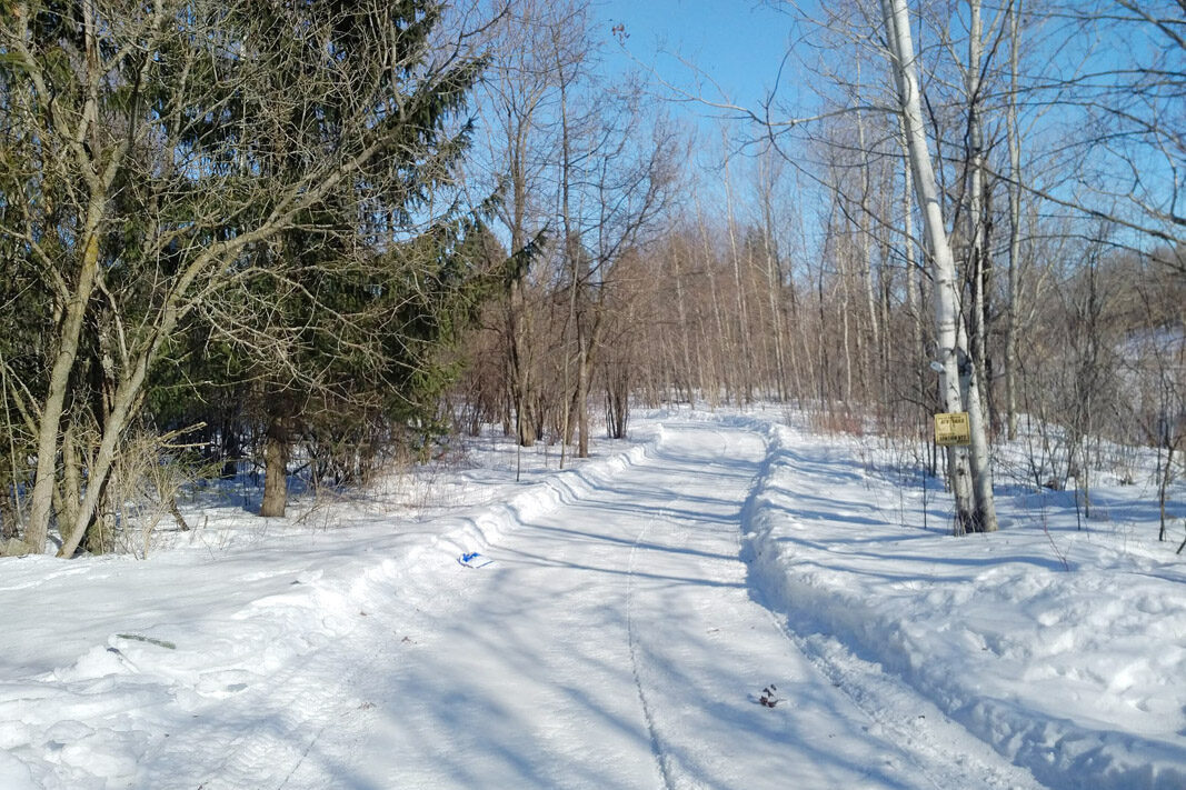 Winter-Ready Trails: Exploring ATV Trails In Ontario During The Winter ...